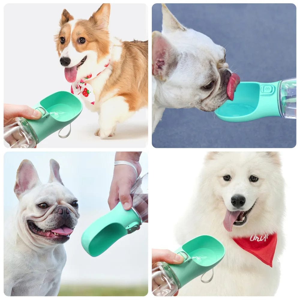 Gourde portable pour chien