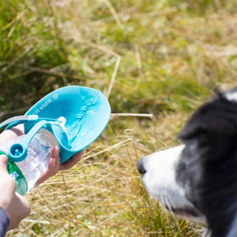 Gourde pour chien